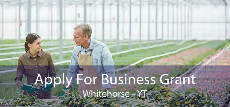 Apply For Business Grant Whitehorse - YT